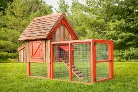Chicken Coop